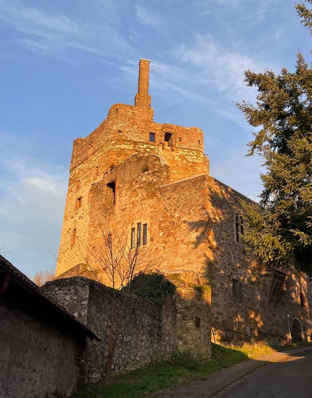 Burg Hermannstein - Queens Room Wetzlar Zewnętrze zdjęcie