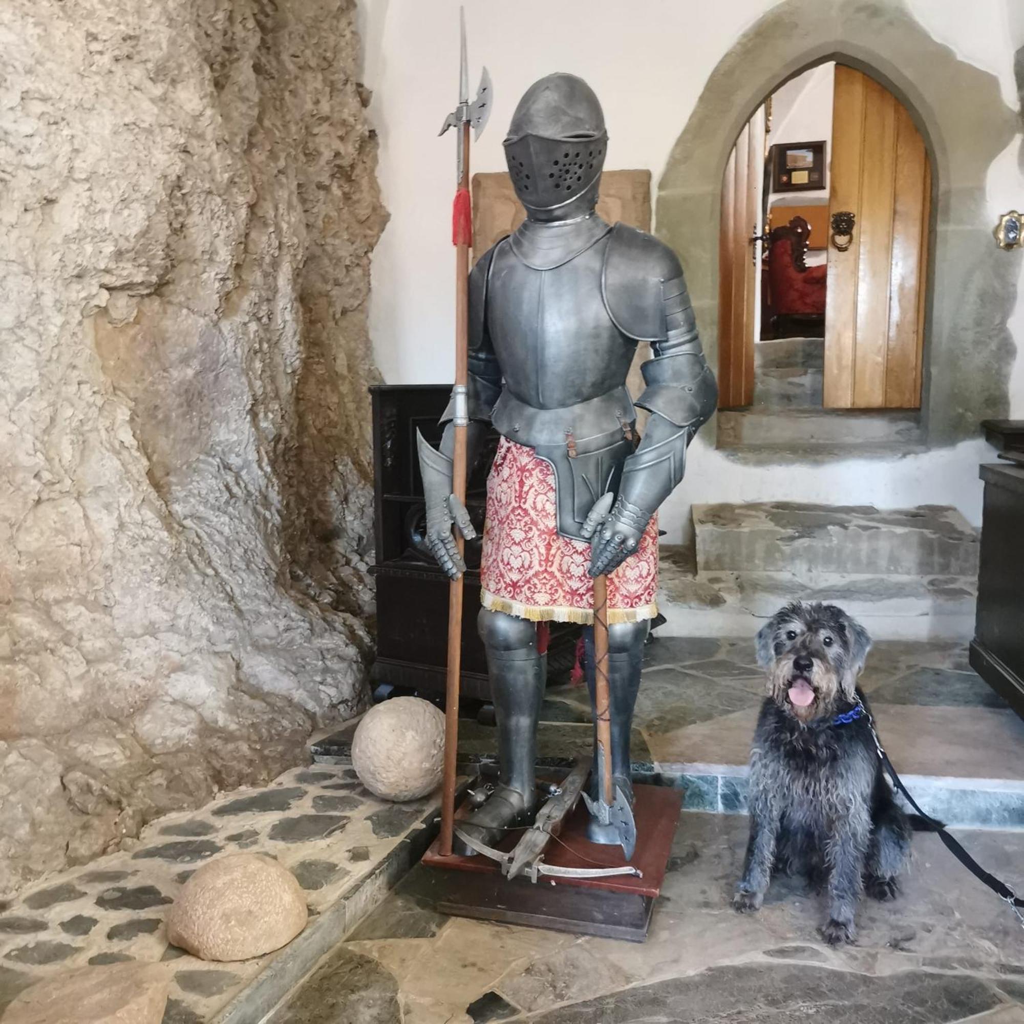 Burg Hermannstein - Queens Room Wetzlar Zewnętrze zdjęcie